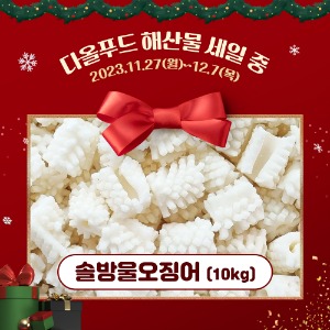 ★세일★솔방울오징어(벌크)/10kg
